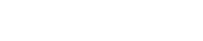 ara icon